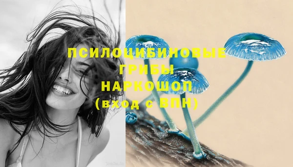герыч Ельня