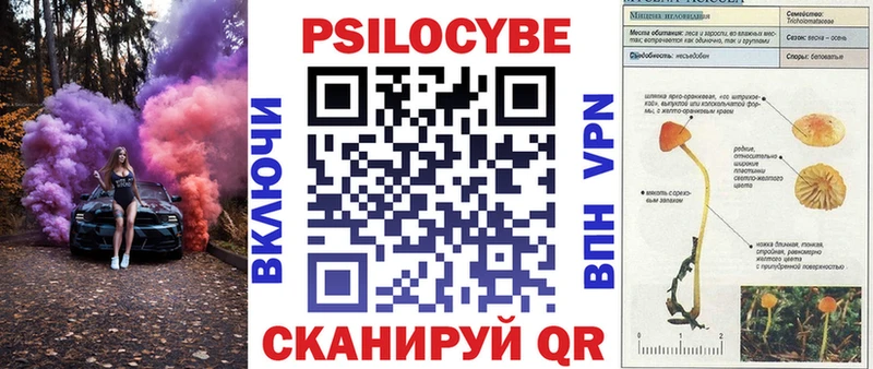 omg ссылка  Зея  Галлюциногенные грибы прущие грибы 